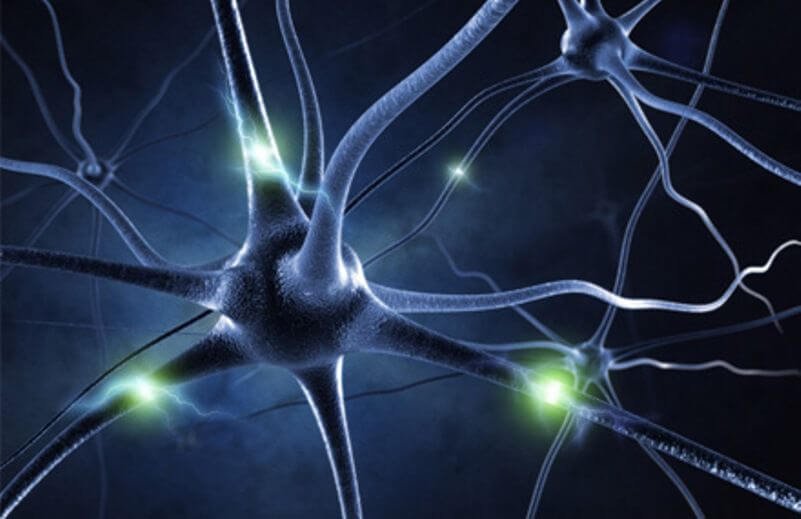 أمراض الاعصاب الأكثر انتشارا