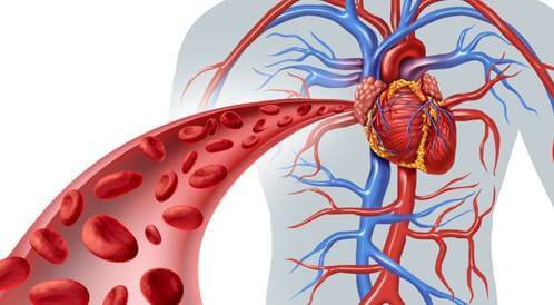 مشاكل الأوعية الدموية وعلاجها