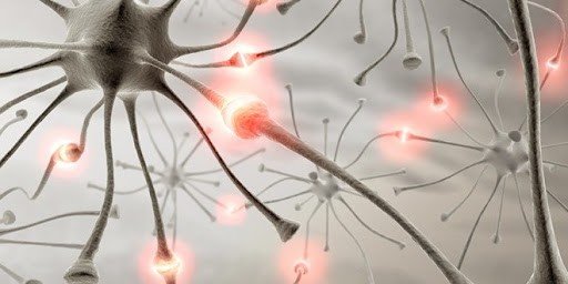 أمراض الاعصاب الأكثر انتشارا