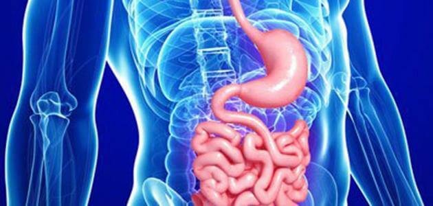 أمراض الجهاز الهضمي