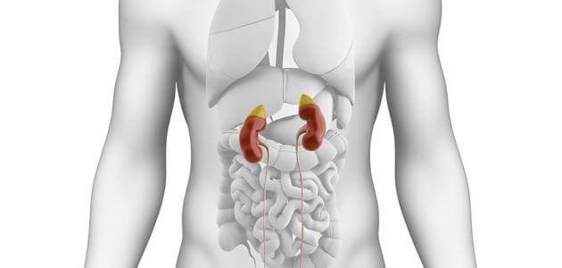 علاج دوالي الخصية بالأشعة التداخلية