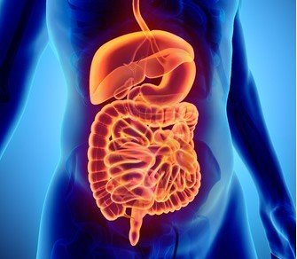 ما هي أمراض الجهاز الهضمي والكبد ؟
