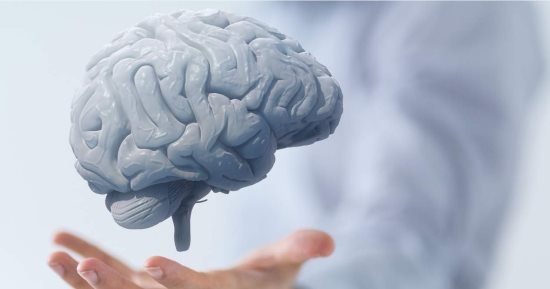 الأشعة التداخلية للمخ