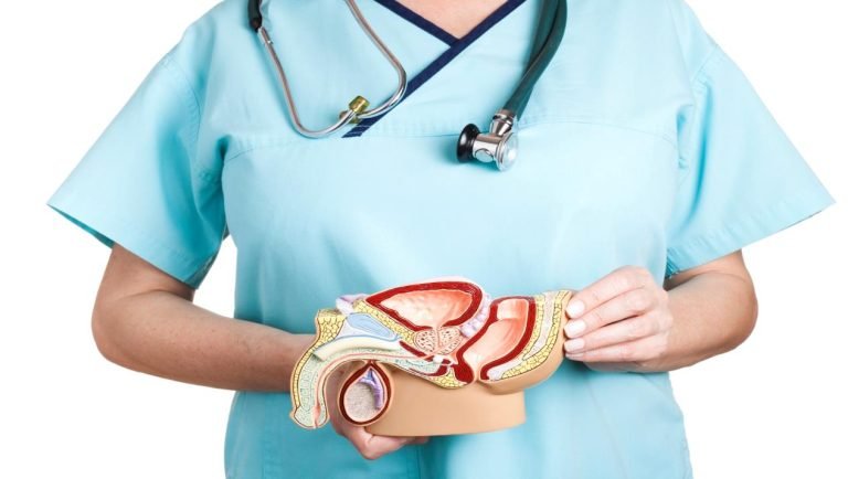 تكلفة الاشعة التداخلية للبروستاتا