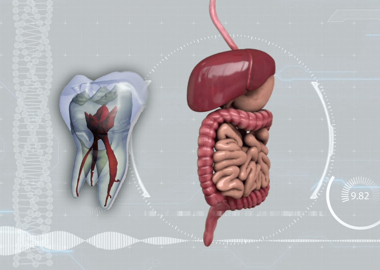 امراض الجهاز الهضمي