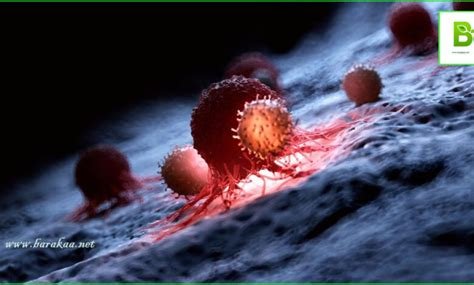 علاج الأورام الليفية في الثدي بالأعشاب