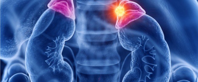 أورام الغدة الدرقية و علاجها  على نوع الورم الموجود في الغدة الدرقية والمرحلة التي يمكن أن يكون وصل إليها وصحة المريض المصاب العامة