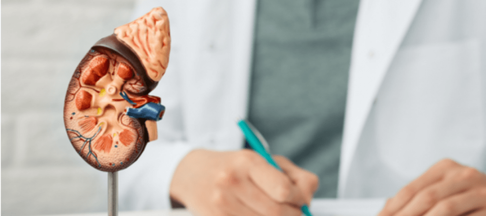 اورام الكلى وعلاجها