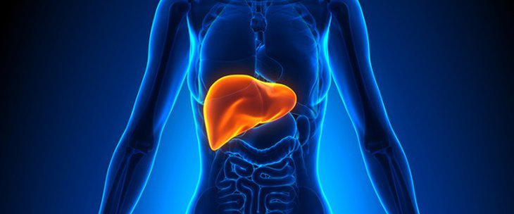 علاج اورام الكبد